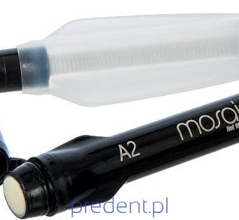 Mosaic Syringe Intro Kit 5x4g