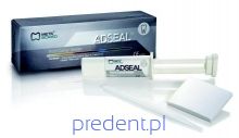 ADSEAL Root Canal Sealer 13,5g